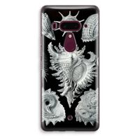 Haeckel Prosobranchia: HTC U12+ Transparant Hoesje