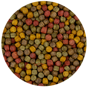 Pond Pro Multi Kwartet Mix 6mm - Uitgebalanceerde Koi Vijvervoeding 5kg - Gezondheid & Kleur