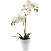 Witte orchidee kunstplant in kunststof pot 65 cm   -
