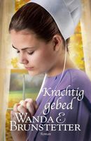 Krachtig gebed - De Indiana Amish 2 - Wanda E. Brunstetter - eBook (9789088653360) - thumbnail