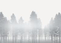Noordwand Komar Raw Fotobehang Silver Haze - RSX8-055