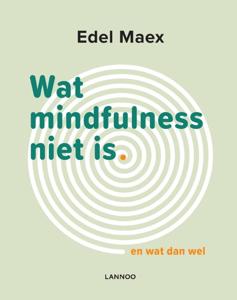 Wat mindfulness niet is (Paperback)
