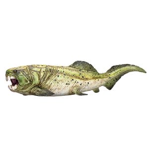 Mojo prehistorie dunkleosteus 387374