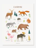 Poster dieren van Europa Lilydale LILIPINSO bruin