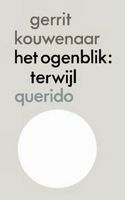 Het ogenblik - Gerrit Kouwenaar - ebook