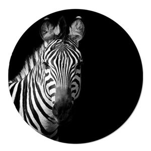 Muurcirkel Savanne Zebra Zelfklevend Behang 40 Geen