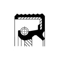 Keerring, automatische transmissie 01033878B