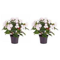 Kunstplant Vlijtig Liesje - 2x stuks - heester - wit - 25 cm - kunstbloemen