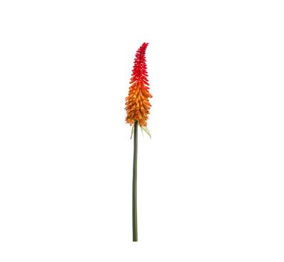 Kniphofia spray red/orange 85 cm kunstplant - Emerald