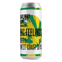 Galway Bay Galway Bay - Big Feelings 44Cl Blik