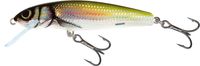 Salmo Minnow 6 cm Floating Holo Bleak
