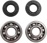 ALL BALLS Racing krukas lagerset