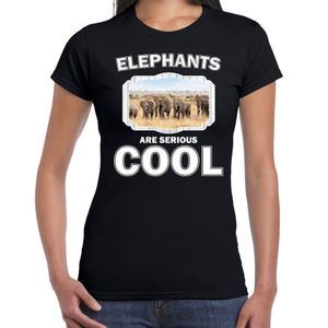 T-shirt elephants are serious cool zwart dames - kudde olifanten/ olifant shirt