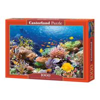 Selecta Castorland legpuzzel coral reef fishes, 1000st.