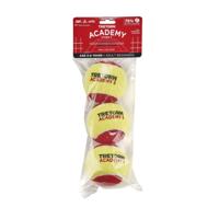 Tretorn Academy 3 Ballen Tennisballen 1