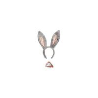Ezel verkleed set - 2-delig - diadeem en snuit - dieren verkleed accessoires Ezel verkleed set - 2-delig - diadeem en snuit - dieren verkleed accessoires