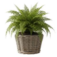 Planten/bloemen mand - rotan - gevlochten riet - D27 x H22 cm - drypot - plantenpot