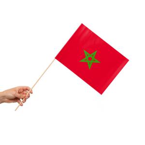 Zwaaivlaggetjes Marokko 20x30cm (10st)