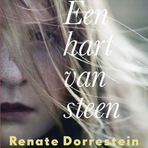 Een hart van steen