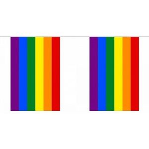 Polyester regenboog vlaggenlijn 3 m