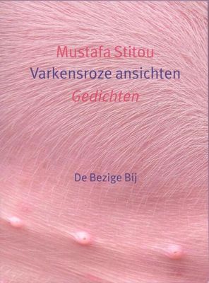 Varkensroze ansichten - Mustafa Stitou - eBook (9789023484073)