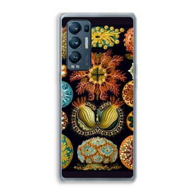 Haeckel Ascidiae: Oppo Find X3 Neo Transparant Hoesje