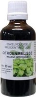 Natura Sanat Melissa officinalis herb / citroenmelisse tinctuur (50 ml) - thumbnail