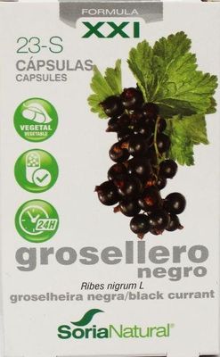 23-S Ribes nigrum XXI