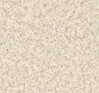 Now or Never 02 - Beige