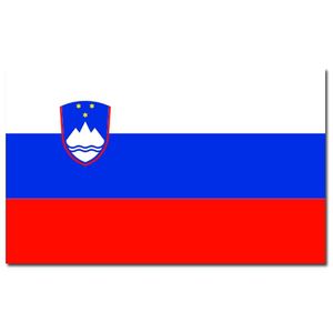 Landen thema vlag Slovenie 90 x 150 cm feestversiering