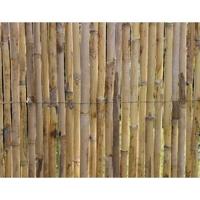 Rietomheining - NATUUR - Hoogwaardige, natuurlijke gespleten rietstengels - 3 x 1 m