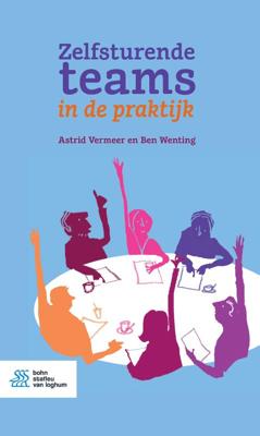 Zelfsturende teams in de praktijk (Paperback)