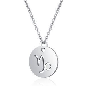 Sterrenbeeld Steenbok Dames Ketting Zilverkleurig Ronde Hanger