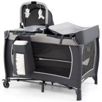 5-in-1 Reisbedje voor Baby's Opvouwbaar Babybedje met Aankleedtafel Babybox met Opbergmand & Draagtas Grijs