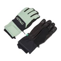 OAKLEY B1B Ski Handschoenen Unisex XL