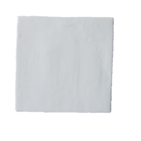 Terre d&apos;Azur Rioja Off White 20x20cm