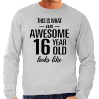 Awesome 16 year / 16 jaar cadeau sweater / trui grijs heren