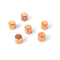 Trendform Magneten Bolt - Set van 6 - Koper