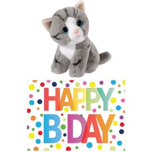 Cadeau setje pluche grijze kat/poes knuffel 14 cm met Happy Birthday wenskaart   -