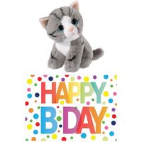 Cadeau setje pluche grijze kat/poes knuffel 14 cm met Happy Birthday wenskaart   - - thumbnail