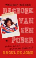 Dagboek van een puber - Raoul de Jong - ebook