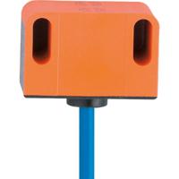 ifm Electronic Inductieve sensor NAMUR NN5009