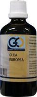 GO Olea europea