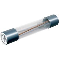 Püschel Feinsicherungen FSUF0,1B FSUF0,1B Buiszekering (Ø x l) 6.3 mm x 32 mm 0.1 A 250 V Snel -F- Inhoud 10 stuk(s)