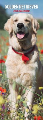 Golden Retriever Kalender 2026 Slimline
