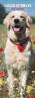 Golden Retriever Kalender 2026 Slimline