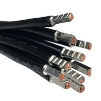 SEP bedrading 10mm2 l=250mm zwart 105gr. voorzien van adereindhulzen