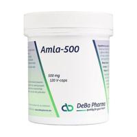 Amla-500 120 Plantaardige Capsules