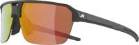 Alpina swift hr - sports glasses