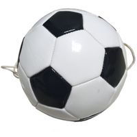SportX Voetbaltrainer 140 gr + Koord 150 cm SportX Voetbaltrainer 140 gr + Koord 150 cm